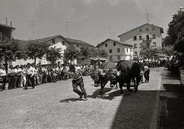 Idi probak en Astigarraga.