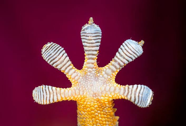 &#039;Fotciencia 18&#039;