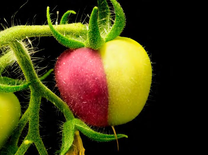 &#039;Fotciencia 18&#039;