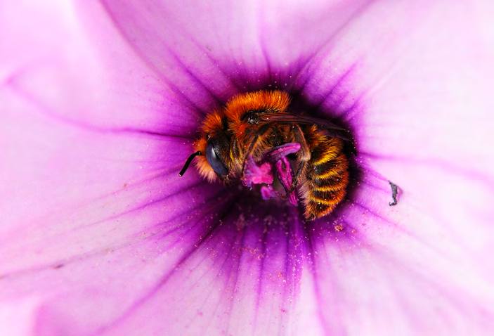 &#039;Fotciencia 18&#039;