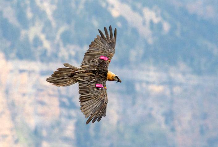 &#039;Fotciencia 18&#039;