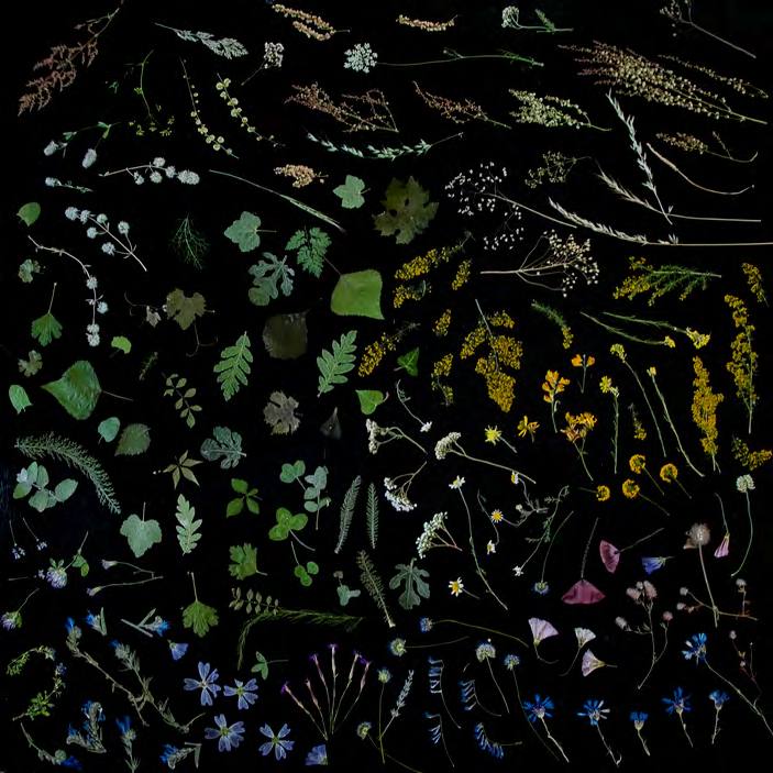 &#039;Fotciencia 18&#039;