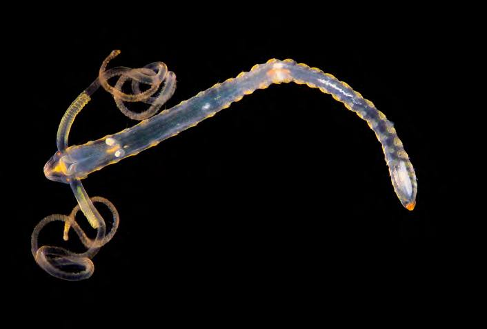 &#039;Fotciencia 18&#039;