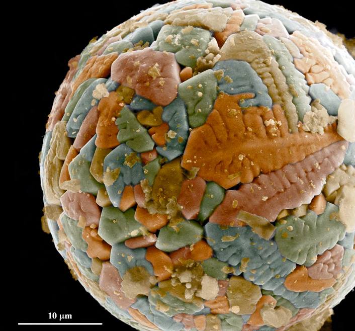 &#039;Fotciencia 18&#039;