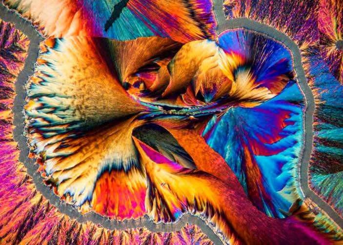 &#039;Fotciencia 18&#039;