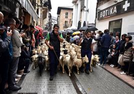 Cinco rebaños cruzaron por la calle Mayor guiados por los pastores entre numeroso público.