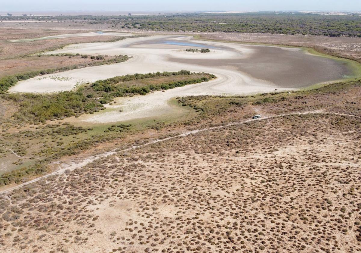 La laguna de Santa Olalla, en Doñana, seca el pasado año.