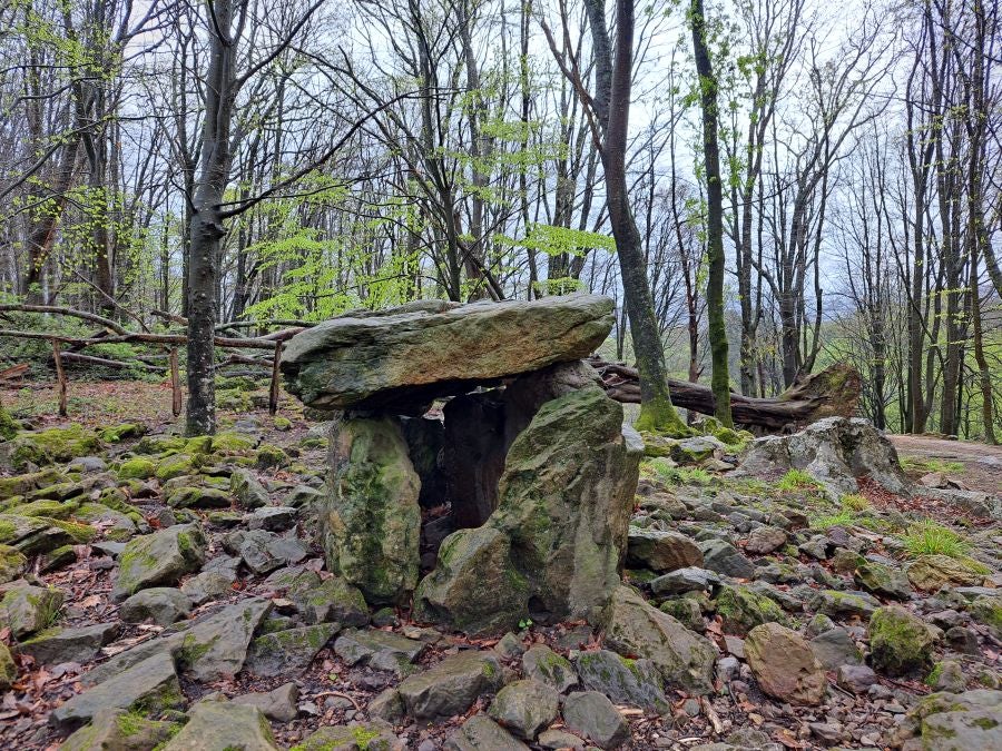 Txoritokieta: Un recorrido sencillo cargado de historia