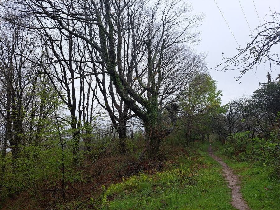 Txoritokieta: Un recorrido sencillo cargado de historia