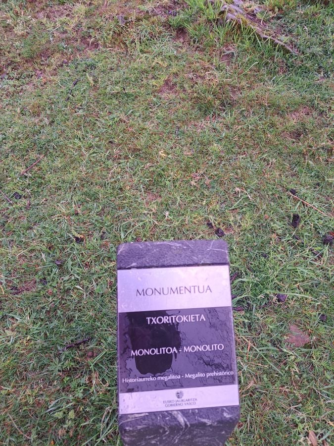 Txoritokieta: Un recorrido sencillo cargado de historia