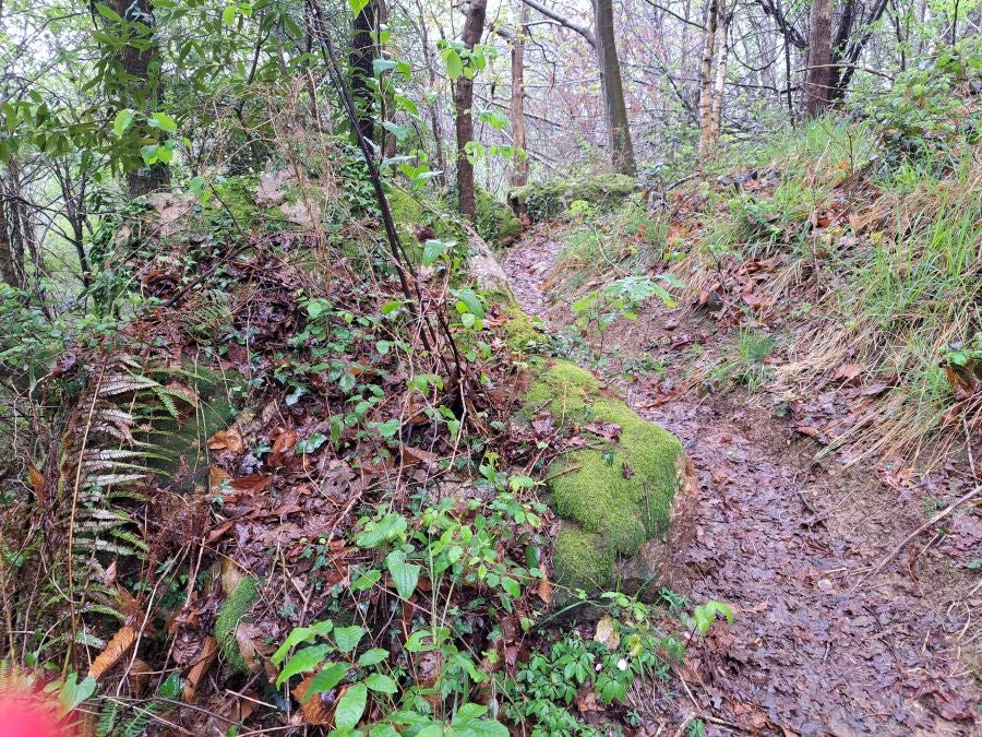 Txoritokieta: Un recorrido sencillo cargado de historia