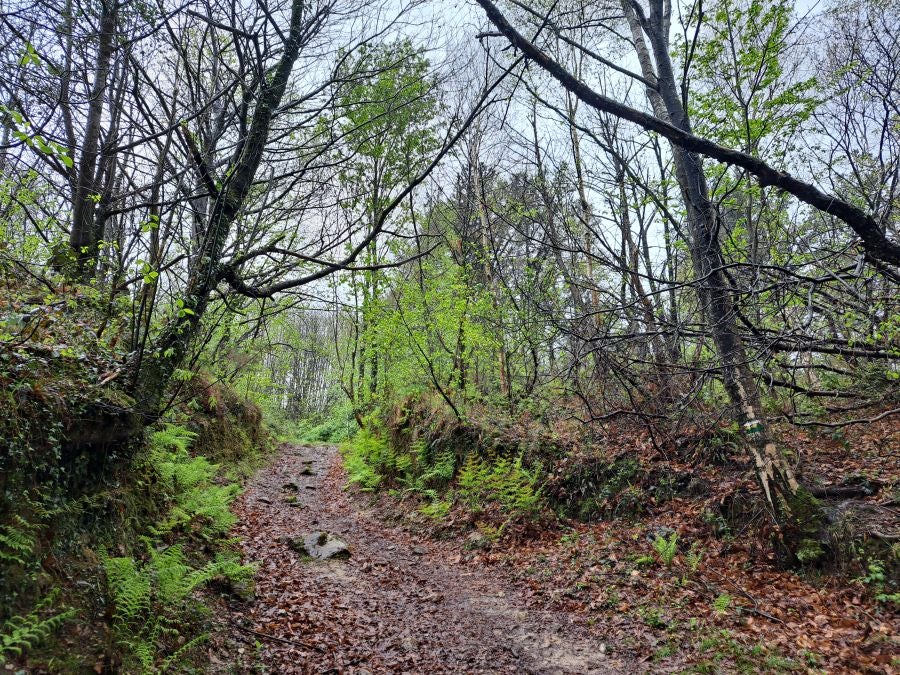 Txoritokieta: Un recorrido sencillo cargado de historia