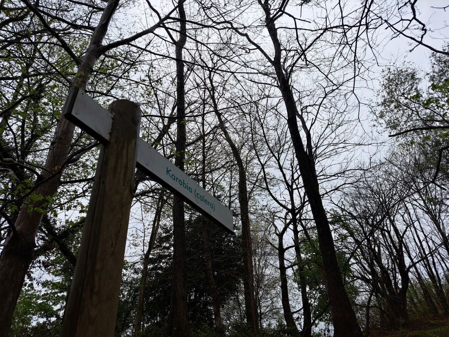 Txoritokieta: Un recorrido sencillo cargado de historia