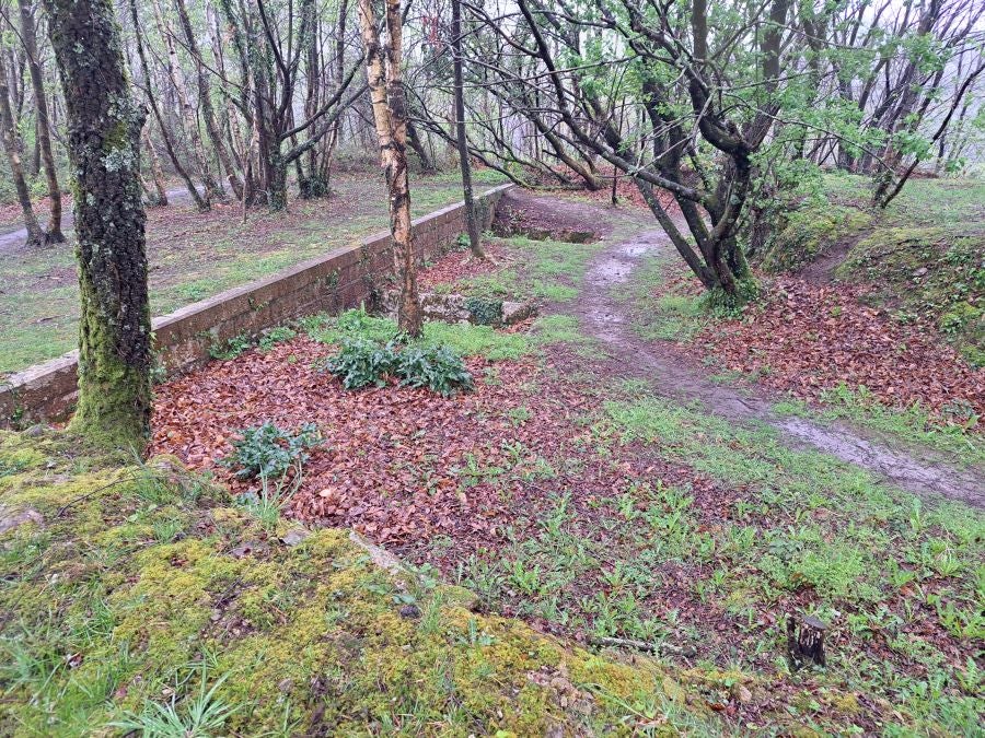 Txoritokieta: Un recorrido sencillo cargado de historia