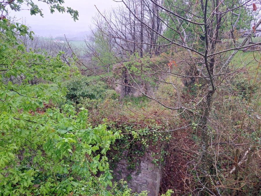 Txoritokieta: Un recorrido sencillo cargado de historia