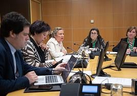 Gotzone Sagardui ha comparecido en el Parlamento Vasco junto a la directora general de Osakidetza y la subdirectora de calidad.