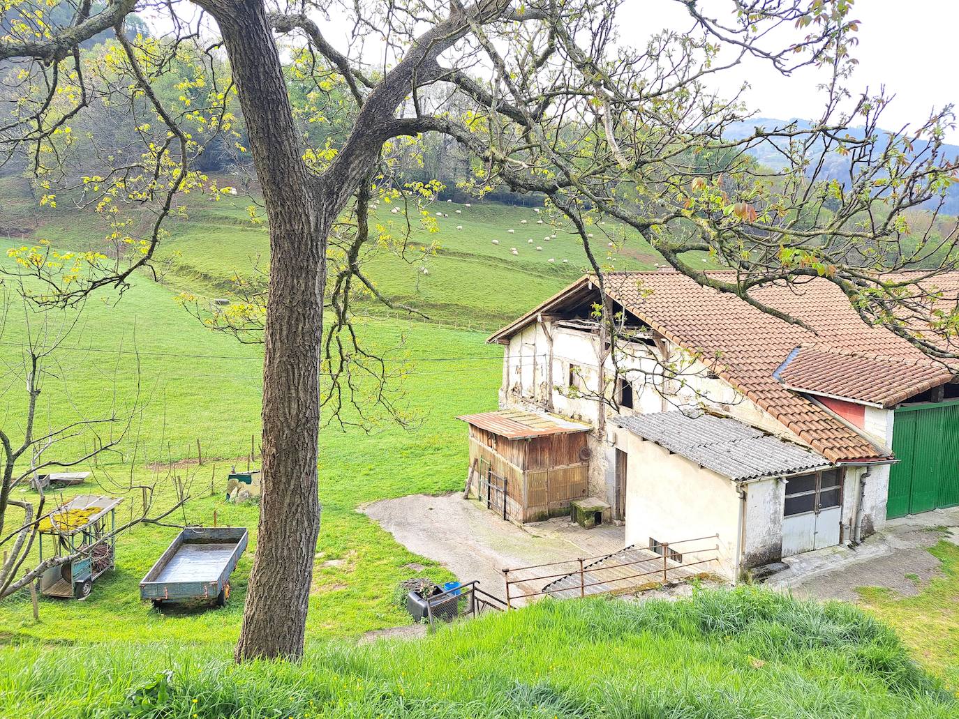 Oindolar, una recompensa primaveral