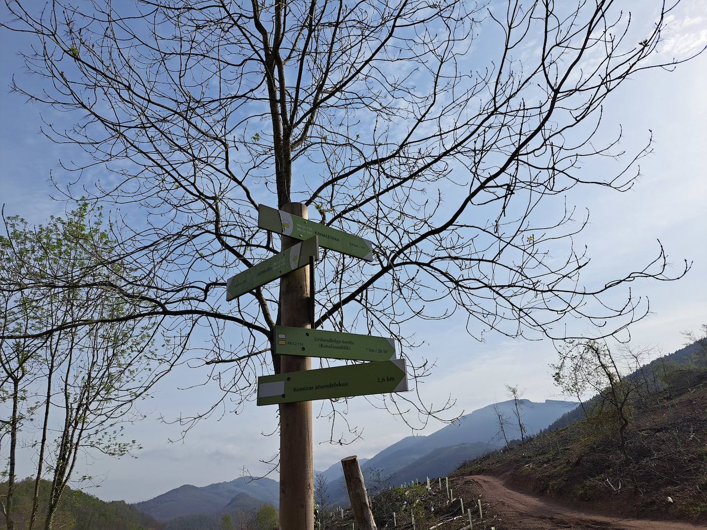 Oindolar, una recompensa primaveral