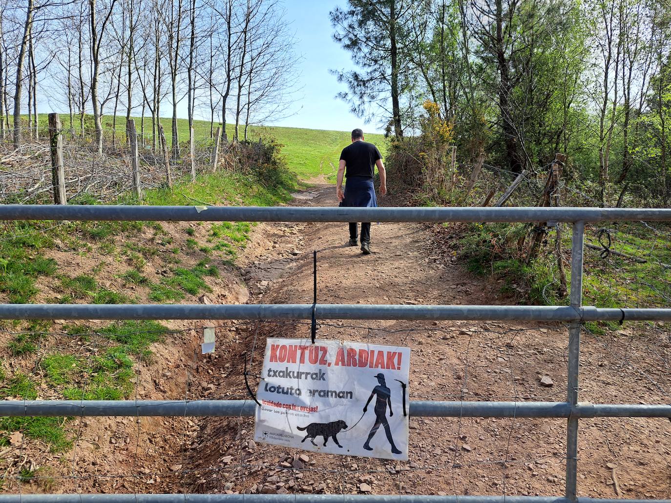 Oindolar, una recompensa primaveral