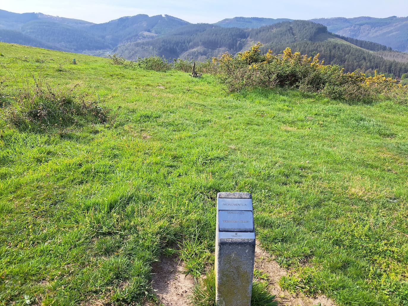 Oindolar, una recompensa primaveral