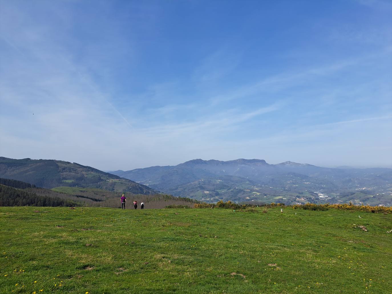 Oindolar, una recompensa primaveral