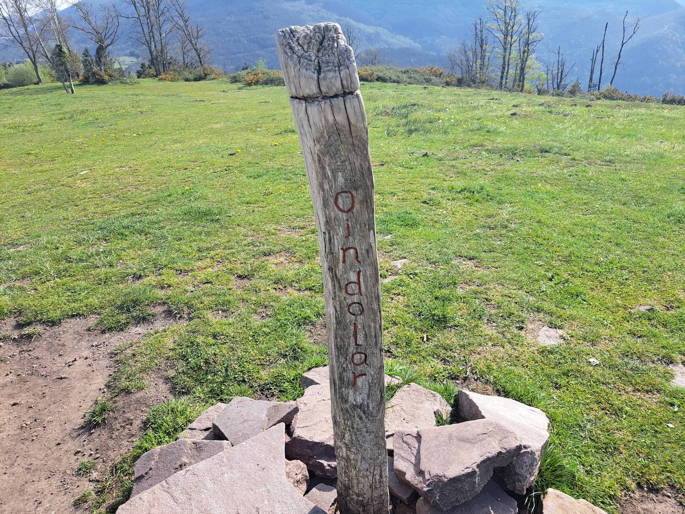 Oindolar, una recompensa primaveral