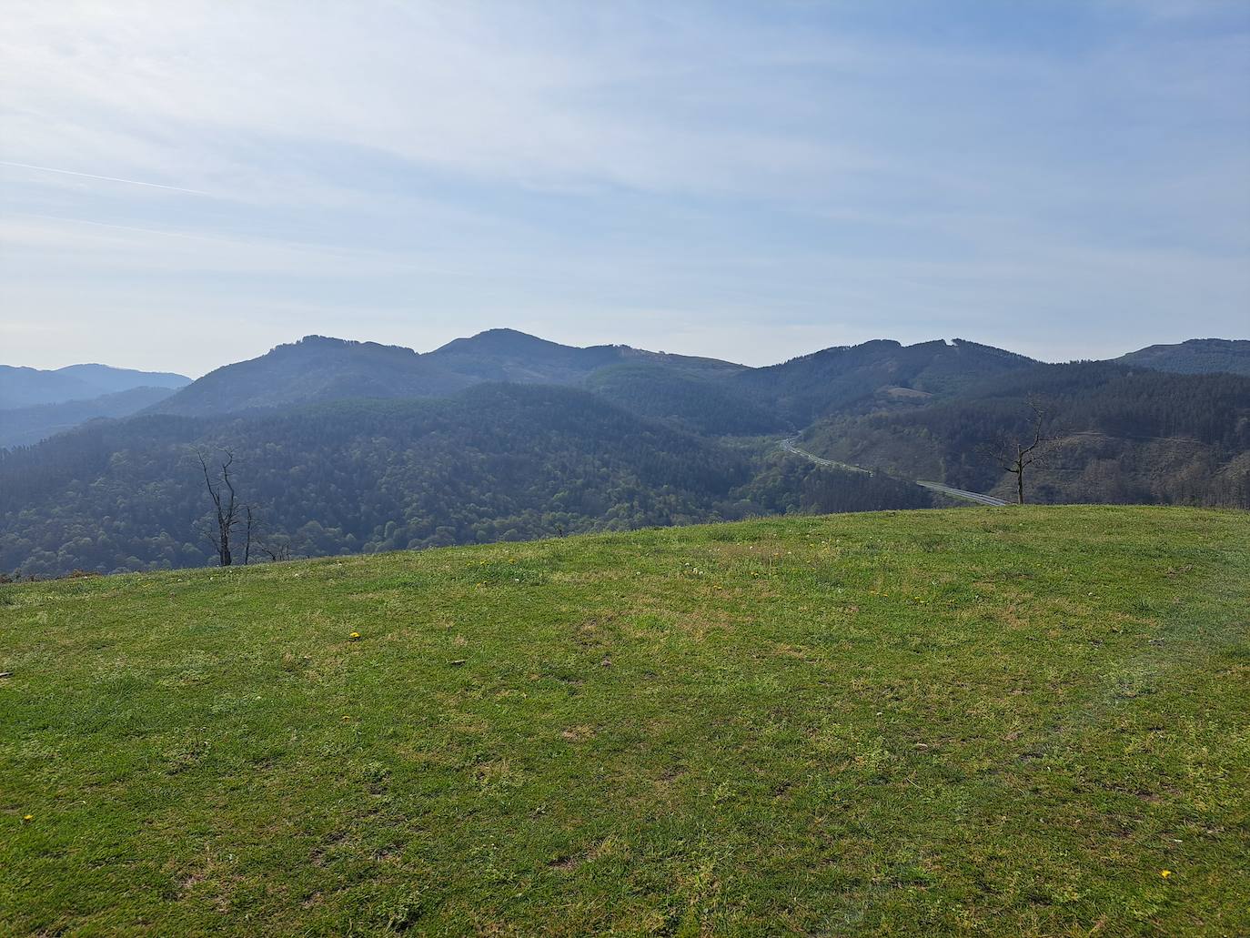 Oindolar, una recompensa primaveral