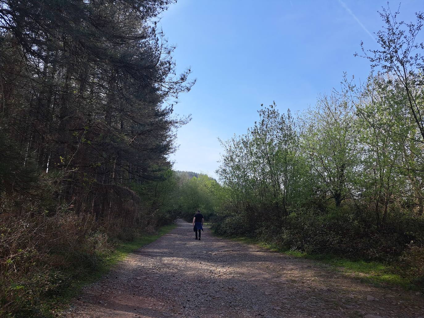 Oindolar, una recompensa primaveral