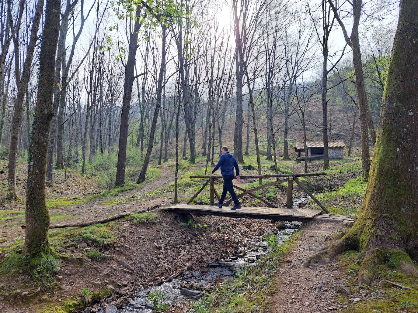 Oindolar, una recompensa primaveral