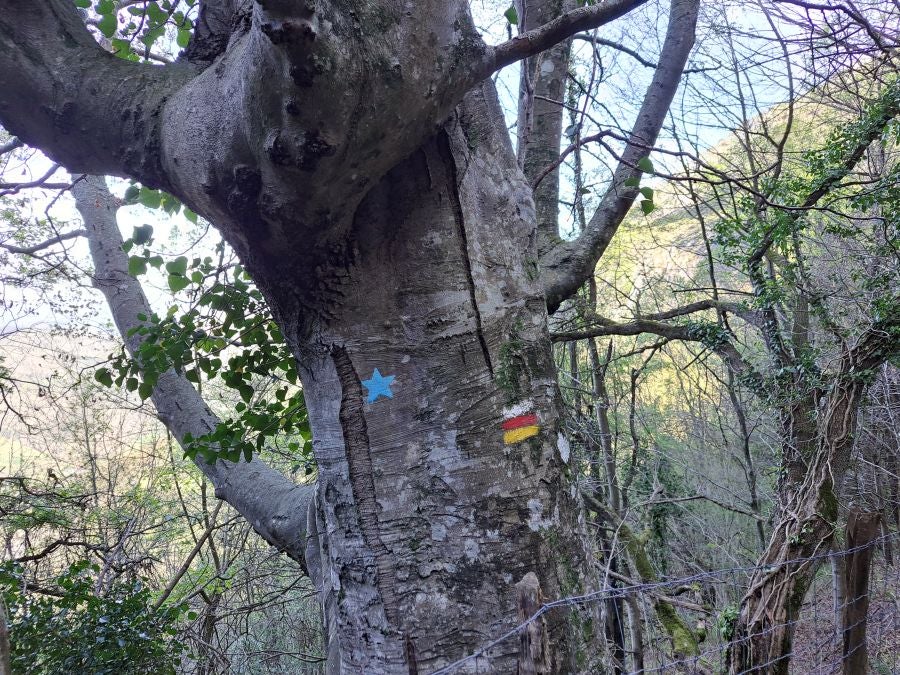 Pikuta, lejos del mundanal ruido