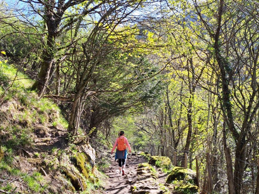 Pikuta, lejos del mundanal ruido