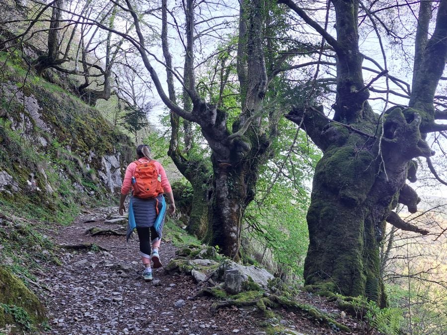Pikuta, lejos del mundanal ruido