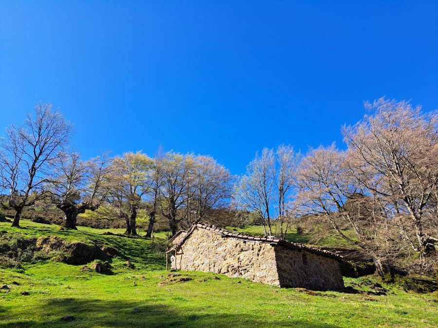 Pikuta, lejos del mundanal ruido