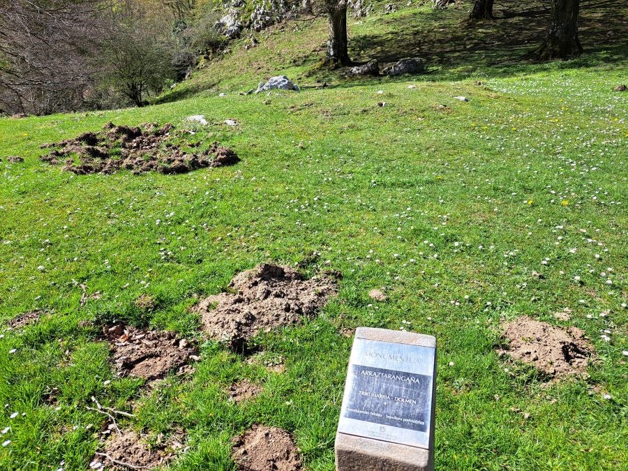 Pikuta, lejos del mundanal ruido