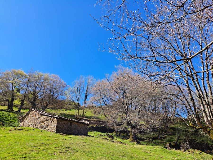 Pikuta, lejos del mundanal ruido