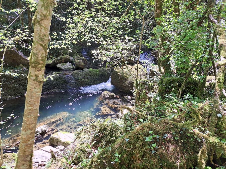 Pikuta, lejos del mundanal ruido