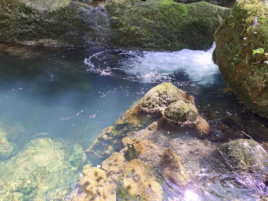 Pikuta, lejos del mundanal ruido