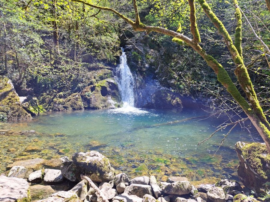 Pikuta, lejos del mundanal ruido