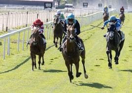 Una prueba celebrada hace unos días en el hipódromo.