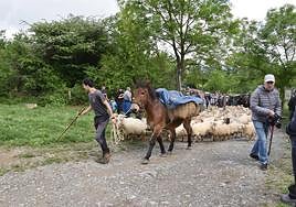 Las campas de Zamao recibieron un año más a cientos de personas