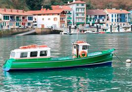 Una experiencia inolvidable. Paseos en barco por la bahía de Pasaia
