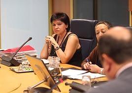 Ana Urchueguía en una comisión del Parlamento vasco en 2014.