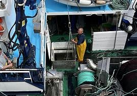 Descarga de anchoa esta semana en Ondarroa.