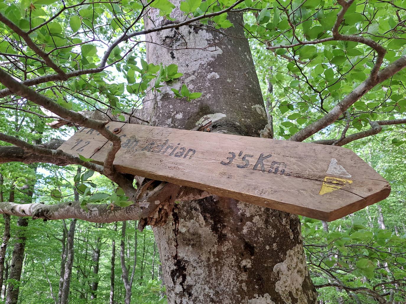 Un paseo por las nubes