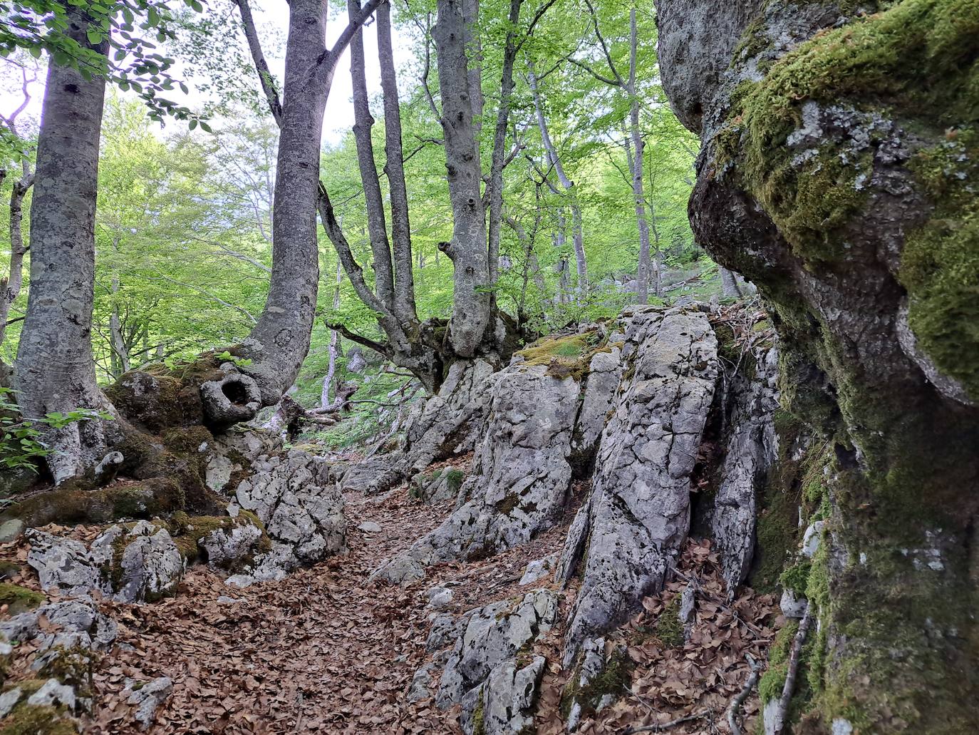 Un paseo por las nubes