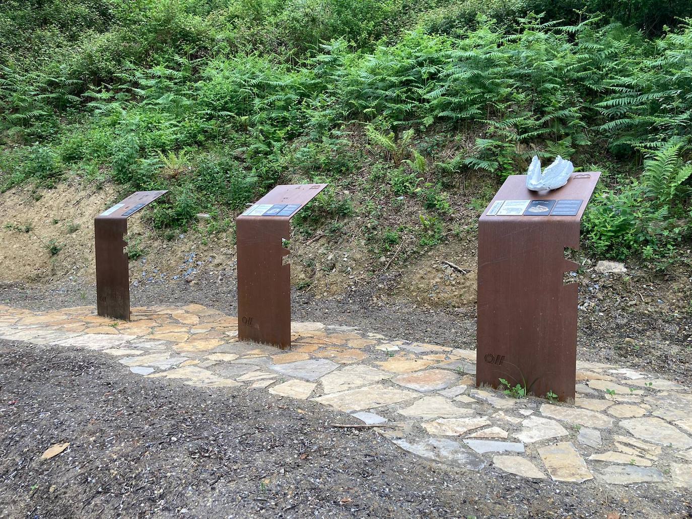 Imagen de los dos mostradores de donde se sustrajeron las réplicas de los cráneos.