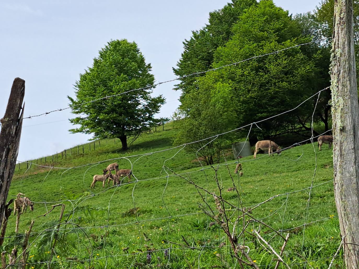 Indamendi, preciosa balconada de Pagoeta