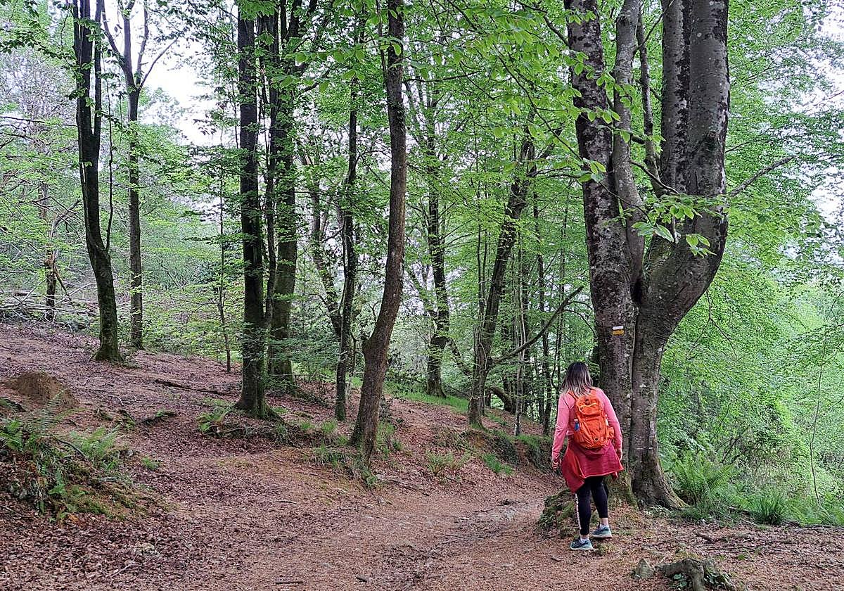 Indamendi, preciosa balconada de Pagoeta