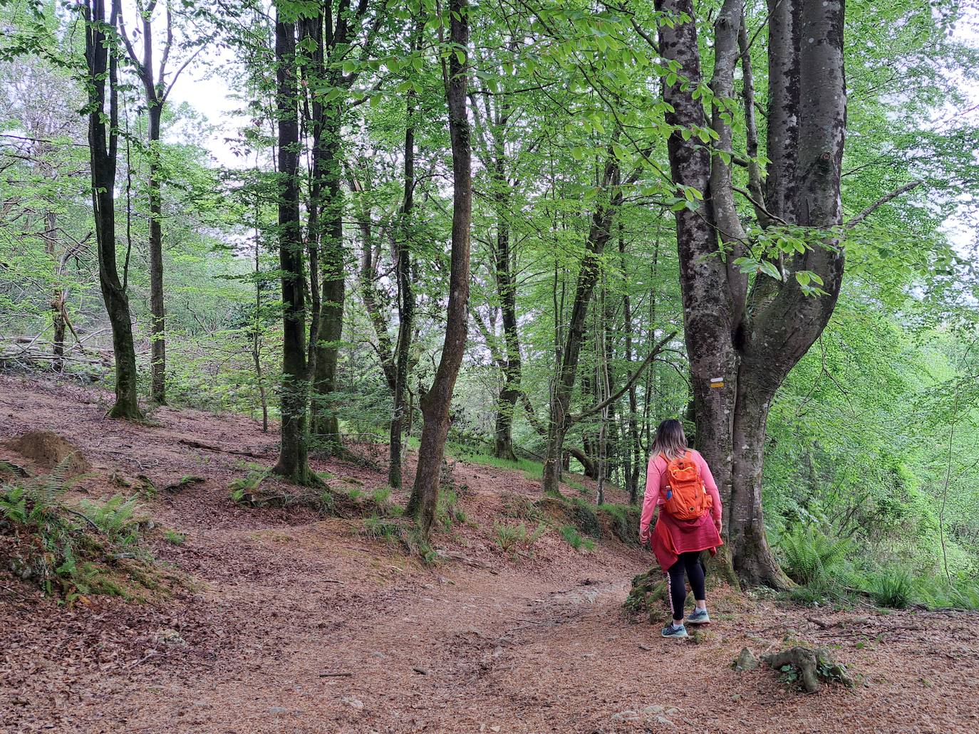 Indamendi, preciosa balconada de Pagoeta