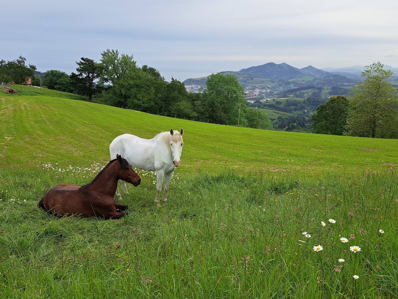 Indamendi, preciosa balconada de Pagoeta